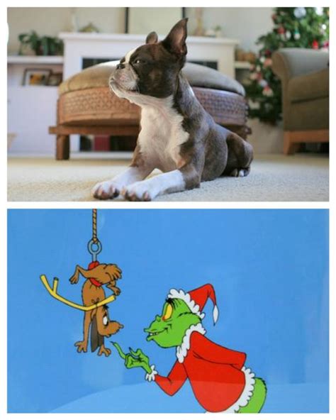 Cartoon of a cute christmas puppy wearing jingle bells and. The Magic of the Grinch Christmas Tree - Garden Therapy