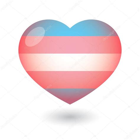 Heart With A Transgender Pride Flag Stock Vector Image By ©on 55296905