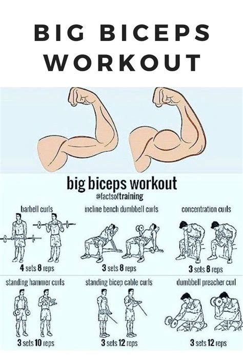 Pin On Top 10 Biceps Workouts