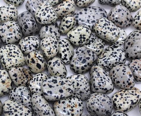 Dalmatian Jasper Tumbled Stones Choose 4 Oz 8 Oz Or 1 Lb Bulk Lots