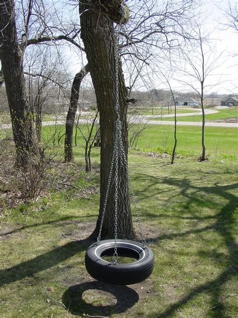Tree Tire Swing Tire Swings Natural Playground Tire Swing