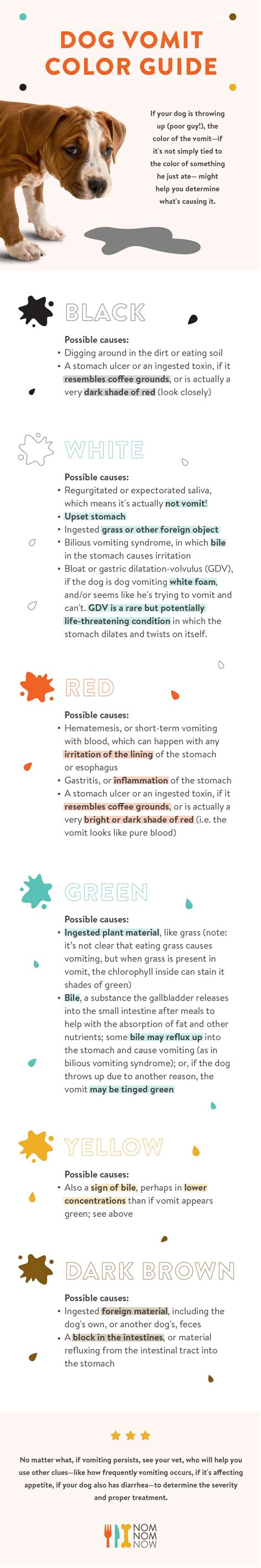 Vomiting Dog Vomit Color Chart