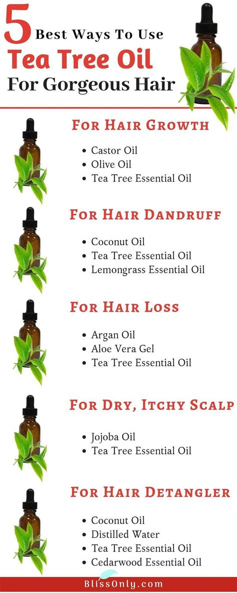 Tea Tree Oil Gives Endless Benefits To Our Hair It Has Powerful