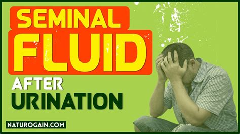 What Causes Seminal Fluid After Urination Quick Fix Youtube