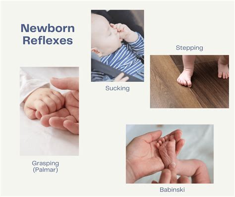 Fascinating Newborn Reflexes That May Surprise You
