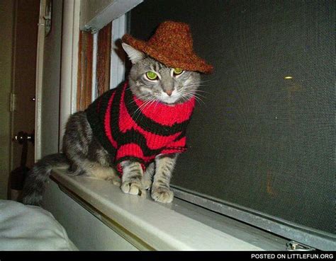 Fotos De Slashers Pet Day Pet Costumes Cat Clothes