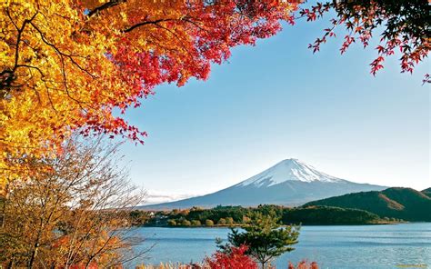 Mount Fuji Picture Image Abyss