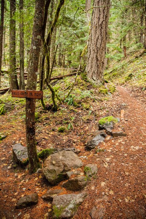 Falls Creek Falls Ford Pinchot National Forest Hiking In Washington