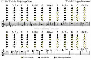 Tin Whistle Charts And D On Pinterest