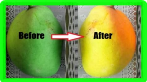 How To Ripen Mangoes Faster At Home 5 Simple Methods Youtube