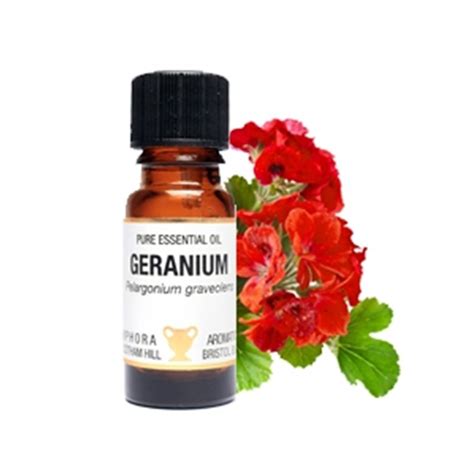 Pure Essential Oil Geranium Pelargonium Graveolens Spr1646