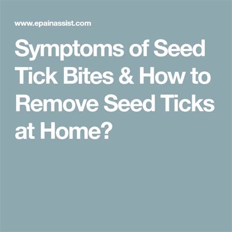 Symptoms Of Seed Tick Bites And How To Remove Seed Ticks At Home Seed