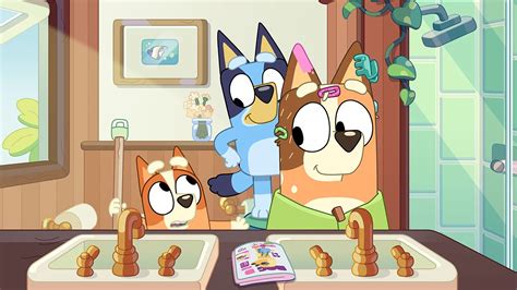 Bluey New Episodes Abc Iview