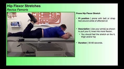 Therex Hip Flexor Stretches [rectus Femoris And Iliopsoas] Youtube