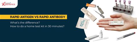 Rapid Antigen Test Vs Rapid Antibody Test Whats The Difference How