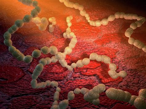 Streptococcus Pneumoniae Artwork Photograph By Hipersynteza Pixels