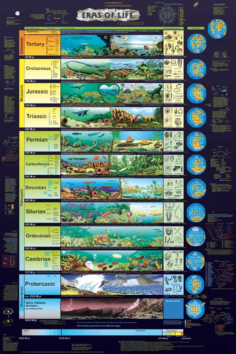 Timeline Of Life Evolution On Earth Motivation