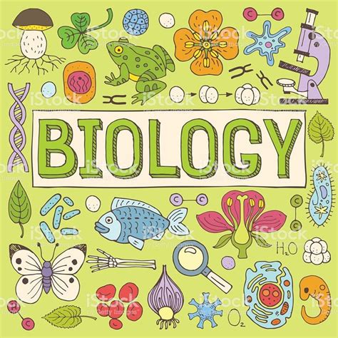Biology Portadas De Biologia Caratula De Biologia Portada De