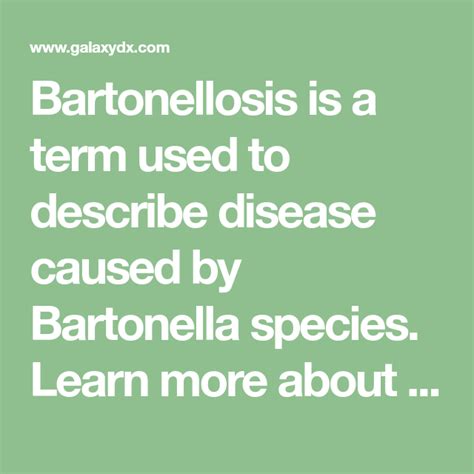 Bartonellosis Is A Term Used To Describe Disease Caused By Bartonella