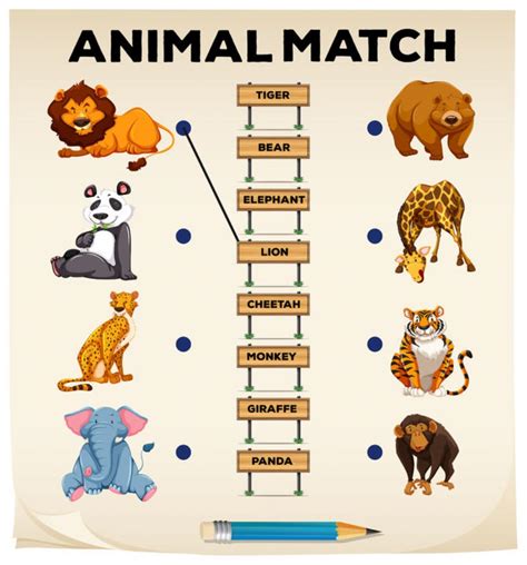 Animals match - Interactive worksheet