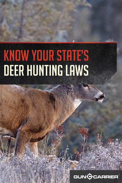 Hunting Laws Deer Season And Hunting Laws American Gun Association