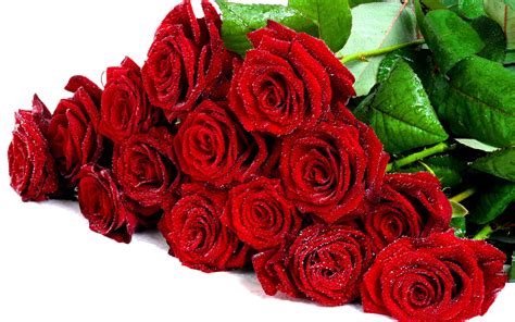 No Festival Is Complete Without A Bunch Of Red Roses Rose Bunch