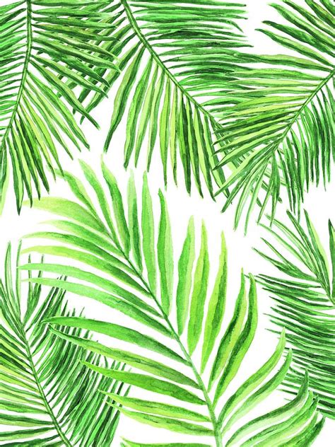 Palm Leaf Painting Hdhub4utools