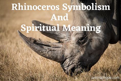 Rhinoceros Symbolism And Meaning (Totem, Spirit and Omens) - Animal Hype