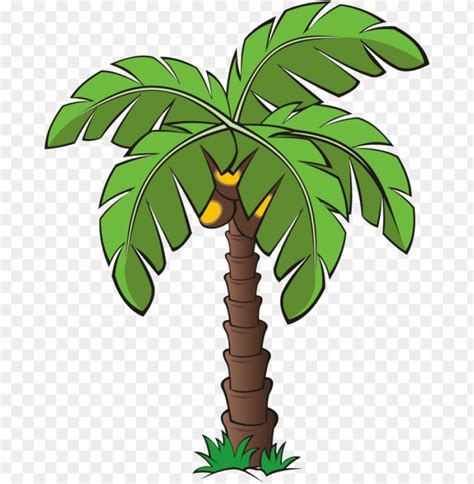 Tree Trees Palm Dates Date Palm Forest Vegetation Palm Tree