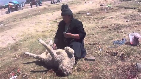 Woman skins 2 bullfrogs at a market. Koyun Kesen Kadın KKB How to slaughter a lamb or goat or ...