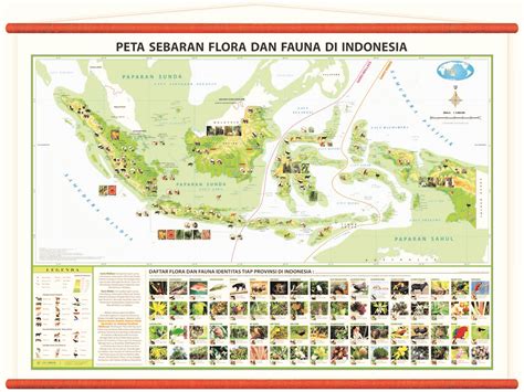 Kliping Persebaran Flora Dan Fauna Di Indonesia Beserta Gambarnya Sketsa