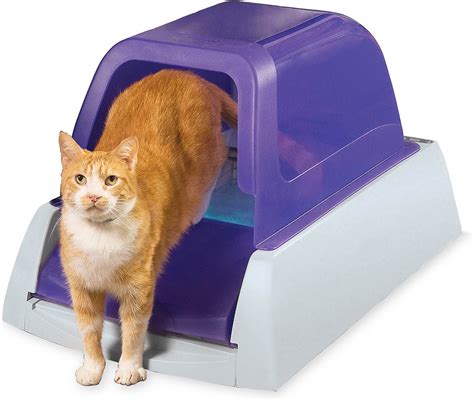 Automatic Cat Litter Box The Best Automatic Litter Box Of 2020 Your
