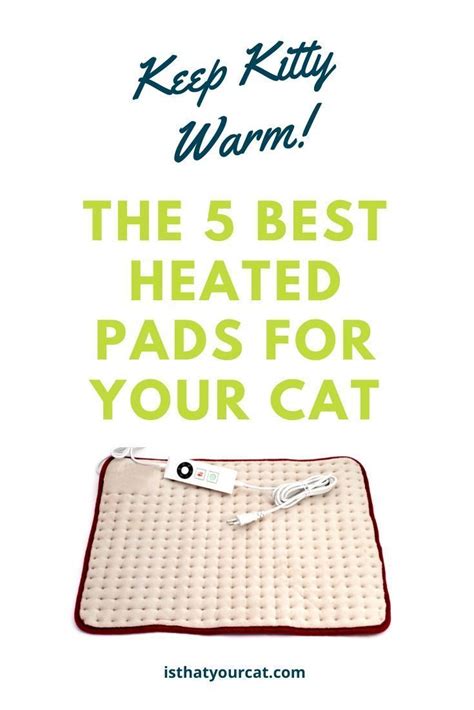 How To Decide Which Is The Best Heating Pad For Cats In