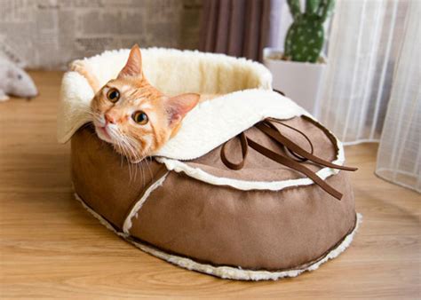 Designer Shoe Shaped Cat Bed