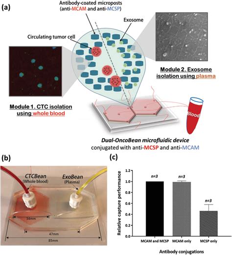 Dual Isolation Of Circulating Tumor Cells Ctcs And Cancer Exosomes