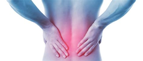 Is It Hip Groin Or Lower Back Pain Houston Physicians Hospital