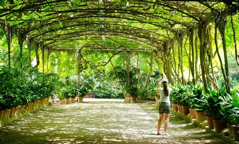 Descubre El Jardín Botánico Histórico La Concepción En Málaga Travel