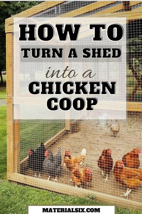 How To Turn A Shed Into A Chicken Coop Follow These 7 Steps In 2023 Chicken Coop Building A