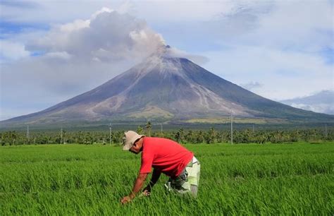 Philippines Orders Evacuation As Thousands Flee Erupting Mayon Volcano