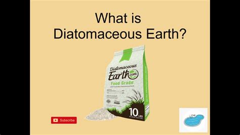 A Beginners Guide To Diatomaceous Earth Youtube