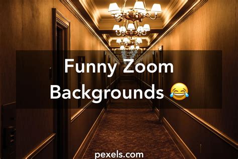 Funny Zoom Backgrounds · Pexels