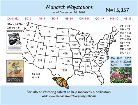 Monarch Watch Blog Archive Why Monarchs Need Monarch Waystations