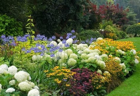 20 Deer Resistant Perennial Plants And Flowers For Your Garden