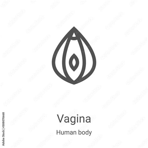 vagina icon vector from human body collection thin line vagina outline icon vector illustration