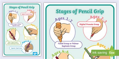 Stages Of Pencil Grip Display Poster Teacher Made