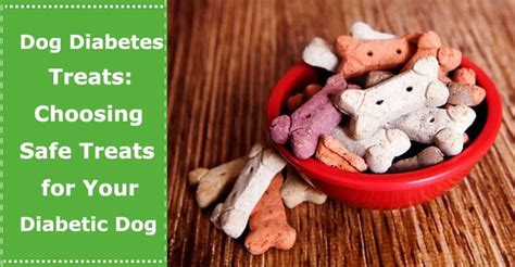 Dog Diabetes Treats Choosing Safe Treats For Your Diabetic Dog Petxu