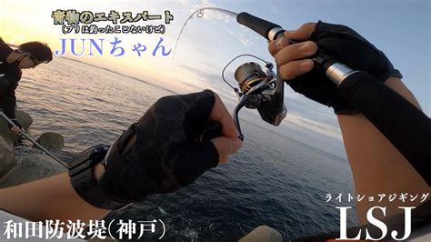 【〇〇爆釣】ド素人でもショアから青物が釣りたい！ライトショアジギングwith Junちゃん和田防波堤、神戸 Youtube