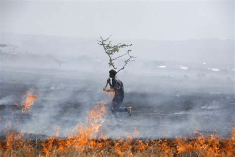 Amazon Fires Not Same As Burning Grasslands In Africa Scientists