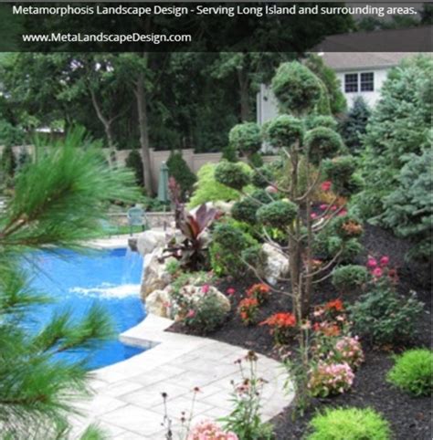 Landscaping Your Pool Area Metamorphosis Landscape Design