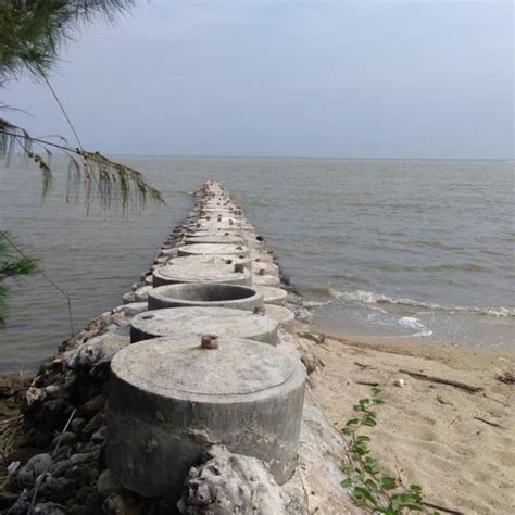 Pdf Pengaruh Gelombang Terhadap Perubahan Garis Pantai Di Groin Pesisir Wedung Kecamatan